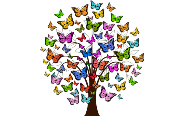 geralt-butterflies-2713343_640.png